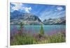 Canada, Alberta, Banff National Park. Crowfoot Mountains and fireweeds along Bow Lake.-Jaynes Gallery-Framed Photographic Print