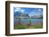 Canada, Alberta, Banff National Park. Crowfoot Mountains and fireweeds along Bow Lake.-Jaynes Gallery-Framed Photographic Print