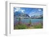 Canada, Alberta, Banff National Park. Crowfoot Mountains and fireweeds along Bow Lake.-Jaynes Gallery-Framed Photographic Print