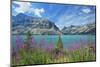 Canada, Alberta, Banff National Park. Crowfoot Mountains and fireweeds along Bow Lake.-Jaynes Gallery-Mounted Photographic Print