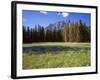 Canada, Alberta, Banff National Park, Daisies Bloom in Meadows Beneath Castle Mountain-John Barger-Framed Photographic Print