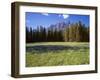 Canada, Alberta, Banff National Park, Daisies Bloom in Meadows Beneath Castle Mountain-John Barger-Framed Photographic Print