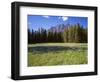 Canada, Alberta, Banff National Park, Daisies Bloom in Meadows Beneath Castle Mountain-John Barger-Framed Photographic Print