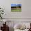 Canada, Alberta, Banff National Park, Daisies Bloom in Meadows Beneath Castle Mountain-John Barger-Photographic Print displayed on a wall