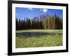 Canada, Alberta, Banff National Park, Daisies Bloom in Meadows Beneath Castle Mountain-John Barger-Framed Photographic Print