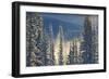 Canada, Alberta, Banff National Park. Fog rising from Bow River at sunrise.-Jaynes Gallery-Framed Photographic Print