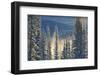 Canada, Alberta, Banff National Park. Fog rising from Bow River at sunrise.-Jaynes Gallery-Framed Photographic Print