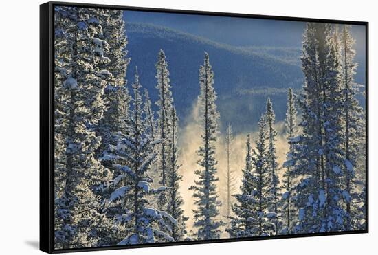 Canada, Alberta, Banff National Park. Fog rising from Bow River at sunrise.-Jaynes Gallery-Framed Stretched Canvas