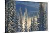 Canada, Alberta, Banff National Park. Fog rising from Bow River at sunrise.-Jaynes Gallery-Stretched Canvas