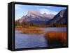Canada, Alberta, Banff National Park, Marsh Grass in Vermilion Lakes and Mount Rundle-John Barger-Framed Stretched Canvas