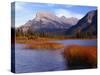 Canada, Alberta, Banff National Park, Marsh Grass in Vermilion Lakes and Mount Rundle-John Barger-Stretched Canvas