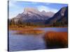 Canada, Alberta, Banff National Park, Marsh Grass in Vermilion Lakes and Mount Rundle-John Barger-Stretched Canvas