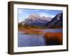 Canada, Alberta, Banff National Park, Marsh Grass in Vermilion Lakes and Mount Rundle-John Barger-Framed Photographic Print