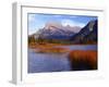 Canada, Alberta, Banff National Park, Marsh Grass in Vermilion Lakes and Mount Rundle-John Barger-Framed Photographic Print