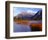 Canada, Alberta, Banff National Park, Marsh Grass in Vermilion Lakes and Mount Rundle-John Barger-Framed Photographic Print