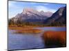 Canada, Alberta, Banff National Park, Marsh Grass in Vermilion Lakes and Mount Rundle-John Barger-Mounted Photographic Print