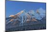 Canada, Alberta, Banff National Park. Peaks of the Bow Range at sunrise.-Jaynes Gallery-Mounted Photographic Print