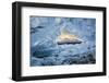 Canada, Alberta, Canadian Rockies. Small ice cave at Abraham Lake-Ann Collins-Framed Photographic Print