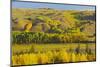 Canada, Alberta, Dunvegan. Autumn foliage in hills.-Jaynes Gallery-Mounted Photographic Print