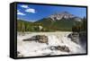 Canada, Alberta, Jasper National Park, Athabasca Falls-Jamie & Judy Wild-Framed Stretched Canvas