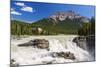 Canada, Alberta, Jasper National Park, Athabasca Falls-Jamie & Judy Wild-Mounted Photographic Print