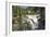 Canada, Alberta, Jasper National Park, Athabasca Falls-Jamie & Judy Wild-Framed Photographic Print