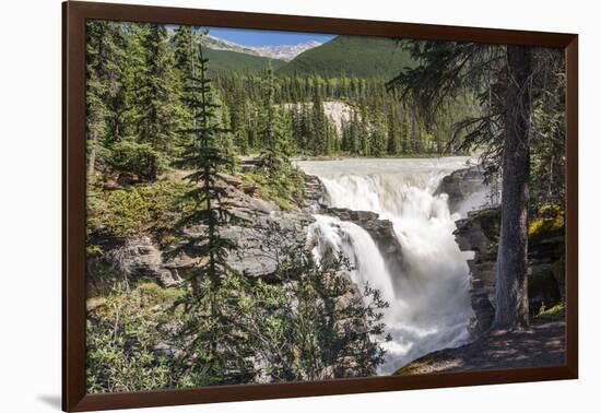 Canada, Alberta, Jasper National Park, Athabasca Falls-Jamie & Judy Wild-Framed Photographic Print