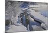 Canada, Alberta, Jasper National Park. Athabasca River in winter.-Jaynes Gallery-Mounted Photographic Print