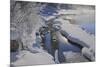 Canada, Alberta, Jasper National Park. Athabasca River in winter.-Jaynes Gallery-Mounted Photographic Print