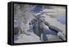 Canada, Alberta, Jasper National Park. Athabasca River in winter.-Jaynes Gallery-Framed Stretched Canvas