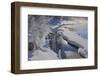 Canada, Alberta, Jasper National Park. Athabasca River in winter.-Jaynes Gallery-Framed Photographic Print