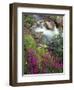 Canada, Alberta, Jasper National Park, Fireweed in Bloom Along Tangle Creek-John Barger-Framed Photographic Print