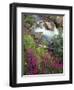 Canada, Alberta, Jasper National Park, Fireweed in Bloom Along Tangle Creek-John Barger-Framed Photographic Print