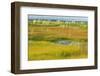 Canada, Alberta, Jasper National Park. Grasses in a Wetland Habitat-Jaynes Gallery-Framed Photographic Print