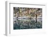 Canada, Alberta, Jasper National Park. Horseshoe Lake.-Yuri Choufour-Framed Photographic Print