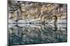 Canada, Alberta, Jasper National Park. Horseshoe Lake.-Yuri Choufour-Mounted Photographic Print