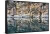 Canada, Alberta, Jasper National Park. Horseshoe Lake.-Yuri Choufour-Framed Stretched Canvas