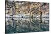 Canada, Alberta, Jasper National Park. Horseshoe Lake.-Yuri Choufour-Stretched Canvas