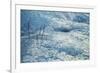 Canada, Alberta, Jasper National Park. Ice at Tangle Falls-Ann Collins-Framed Photographic Print