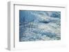 Canada, Alberta, Jasper National Park. Ice at Tangle Falls-Ann Collins-Framed Photographic Print