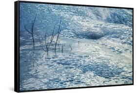 Canada, Alberta, Jasper National Park. Ice at Tangle Falls-Ann Collins-Framed Stretched Canvas