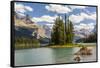 Canada, Alberta, Jasper National Park, Maligne Lake and Spirit Island-Jamie & Judy Wild-Framed Stretched Canvas