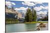 Canada, Alberta, Jasper National Park, Maligne Lake and Spirit Island-Jamie & Judy Wild-Stretched Canvas