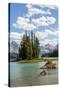 Canada, Alberta, Jasper National Park, Maligne Lake and Spirit Island-Jamie & Judy Wild-Stretched Canvas