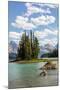 Canada, Alberta, Jasper National Park, Maligne Lake and Spirit Island-Jamie & Judy Wild-Mounted Photographic Print