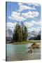 Canada, Alberta, Jasper National Park, Maligne Lake and Spirit Island-Jamie & Judy Wild-Stretched Canvas