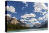 Canada, Alberta, Jasper National Park, Maligne Lake-Jamie & Judy Wild-Stretched Canvas