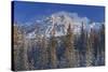 Canada, Alberta, Jasper National Park. Mount Kerkeslin in Canadian Rocky Mountains.-Jaynes Gallery-Stretched Canvas