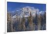 Canada, Alberta, Jasper National Park. Mount Kerkeslin in Canadian Rocky Mountains.-Jaynes Gallery-Framed Photographic Print