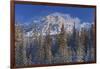 Canada, Alberta, Jasper National Park. Mount Kerkeslin in Canadian Rocky Mountains.-Jaynes Gallery-Framed Photographic Print